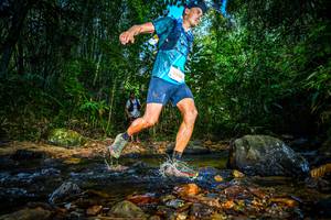 BIB: 5509
                            <button type="button" onclick="openModal(21765884)" class="btn btn-primary btn-sm float-right btn-popup" data-toggle="modal" data-target=".modal-high-quality">
                        <i class="fas fa-shopping-cart"></i> Add to Cart
                    </button>
                                            <button type="button" onclick="isThisMe(21765884, true)" class="btn btn-success btn-sm float-right btn-popup btn-isme hidden" data-toggle="tooltip" data-placement="bottom" title="นี่คือรูปของคุณใช่ไหม คลิกที่นี่เพื่อเอาเข้าอัลบั้ม">
                        <i class="fas fa-plus"></i> Add to album
                    </button>
                    <button type="button" onclick="isThisMe(21765884, false)" class="btn btn-warning btn-sm float-right btn-popup btn-isnotme hidden">
                        <i class="fas fa-ban"></i> Remove from album
                    </button>